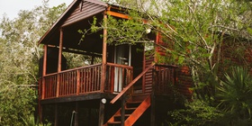 Bosbok - Bush cabin